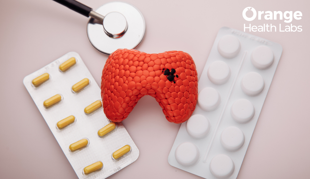 From T3 to Thyroid Health: A Comprehensive Guide to Triiodothyronine