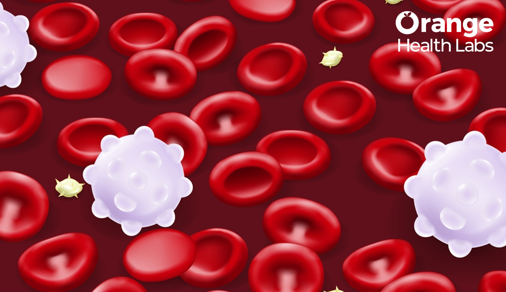 Thalassemia: Understanding the Meaning Causes & Prevention