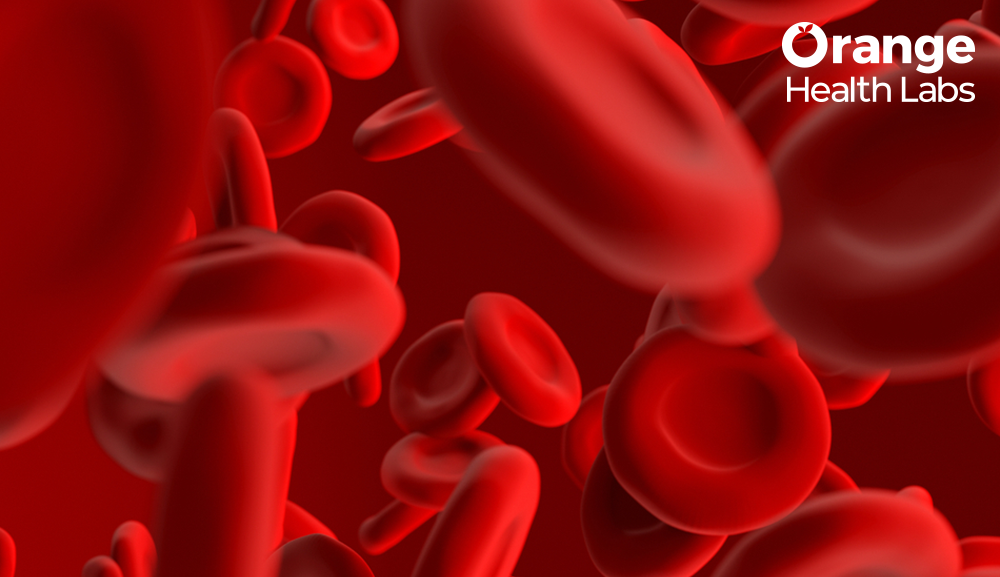 Understanding the Importance of Red Blood Cell Count in Assessing Your Well-Being