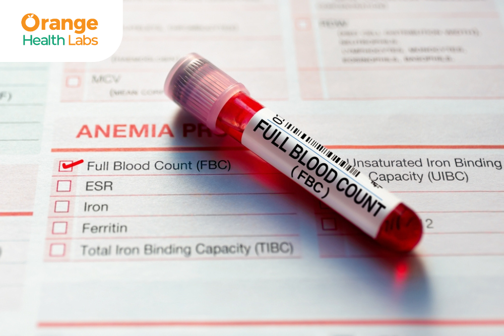 CBC Test vs Other Blood Tests: Understanding the Differences  