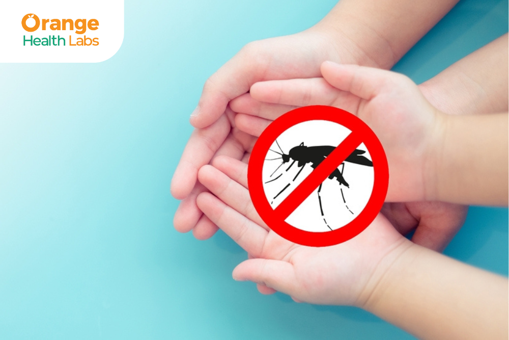 Lifestyle Changes to Reduce Dengue Risk