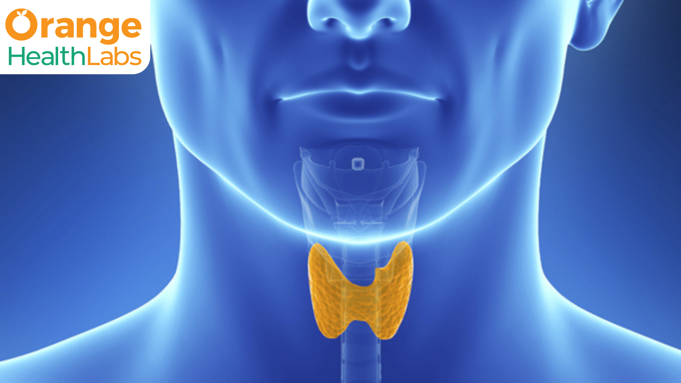 Top 5 Signs You Might Need Thyroid Function Test